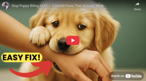 puppy biting quick fix